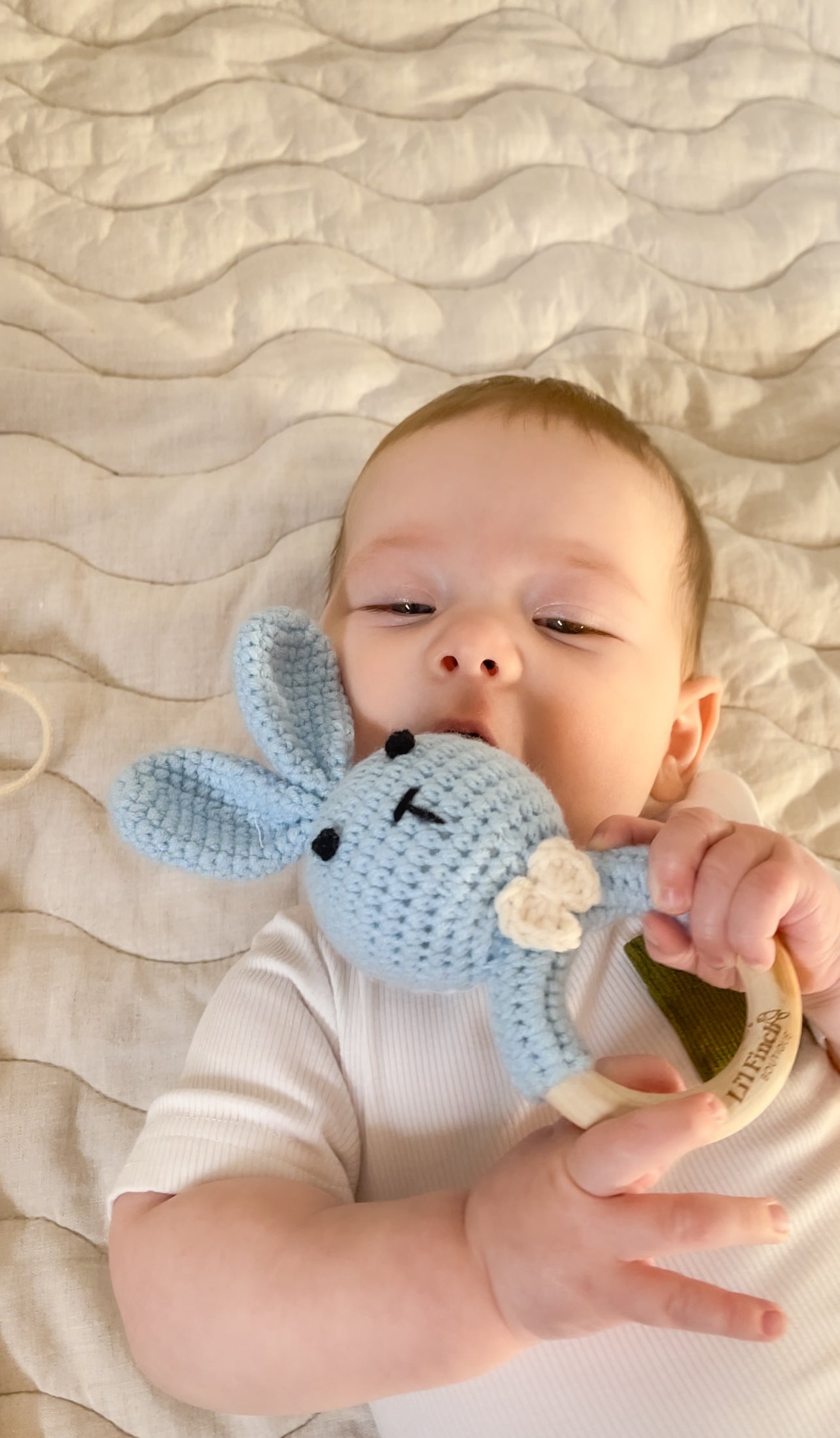 Crochet Bunny_Baby Rattle