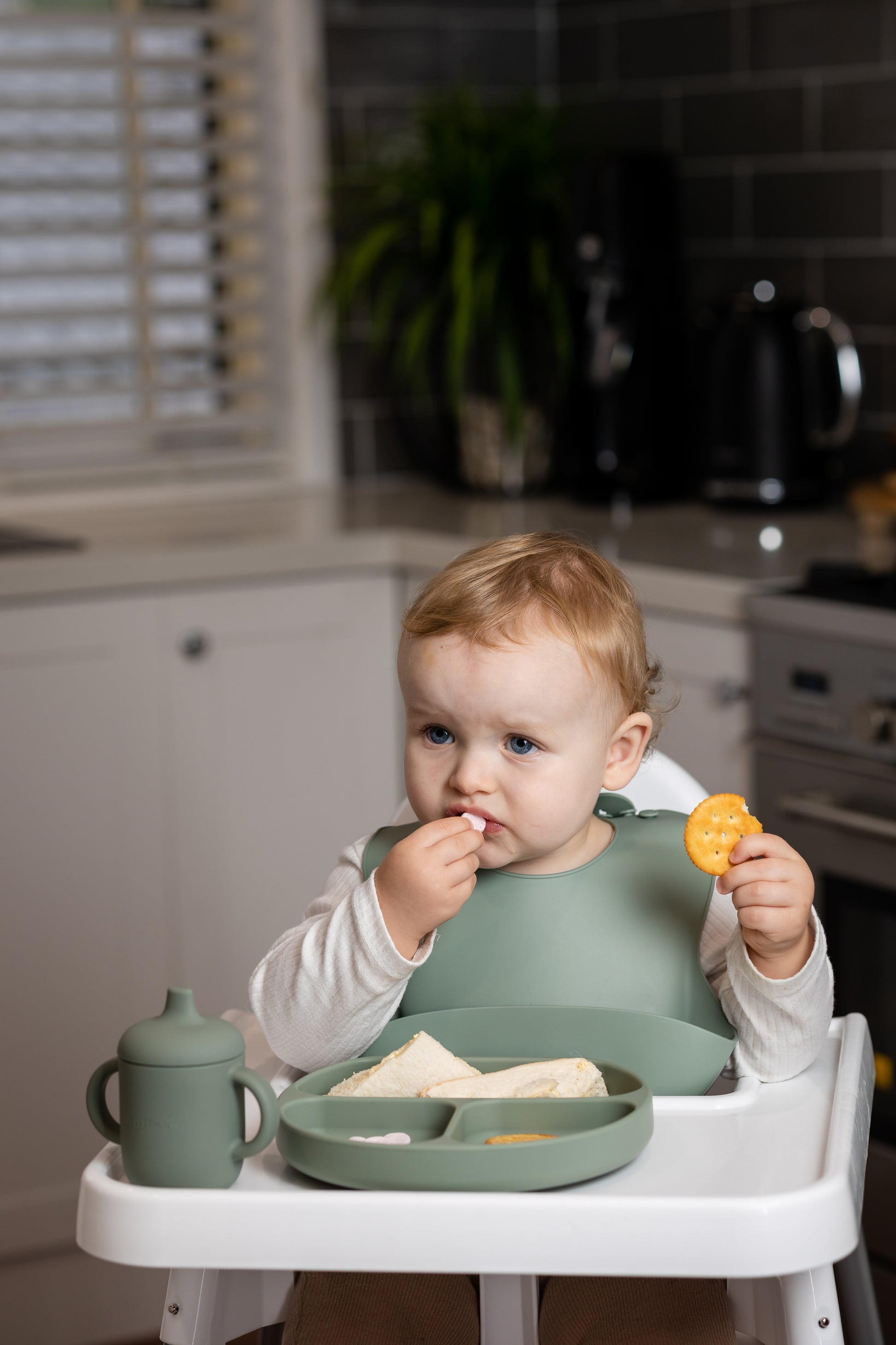 Silicone Suction Divider Plate