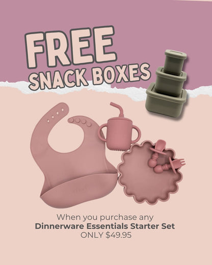 Promotional dinnerware essentials starter set with free snack boxes 