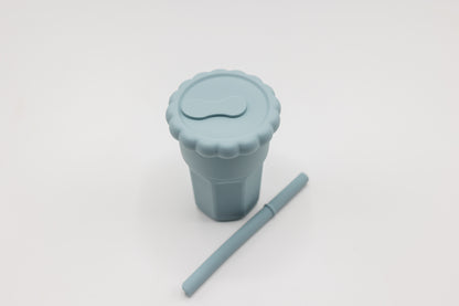 Sippy Cup with Straw