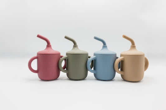 Sippy Cup with Straw & Handles