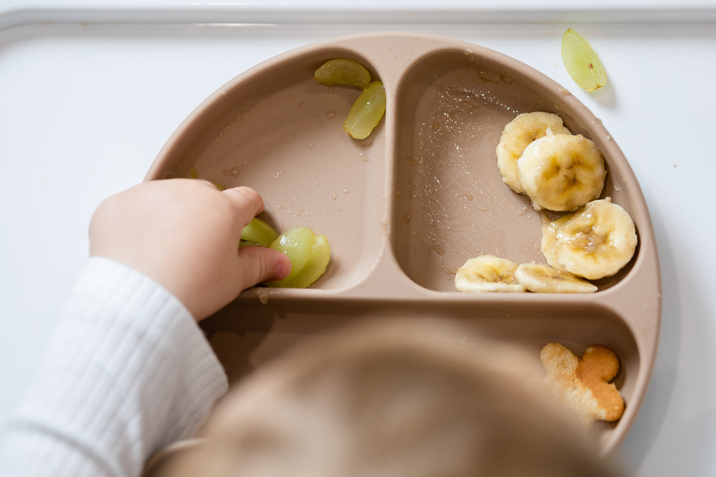 Divider Plate + Cutlery with Suction Base