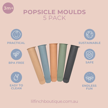 Popsicle moulds 5 pack graphic with five colored tubes and feature icons
