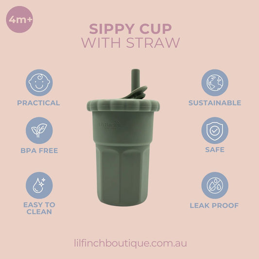 Sippy cup with straw infographic showing 4m+, BPA free, safe, and leakproof icons.