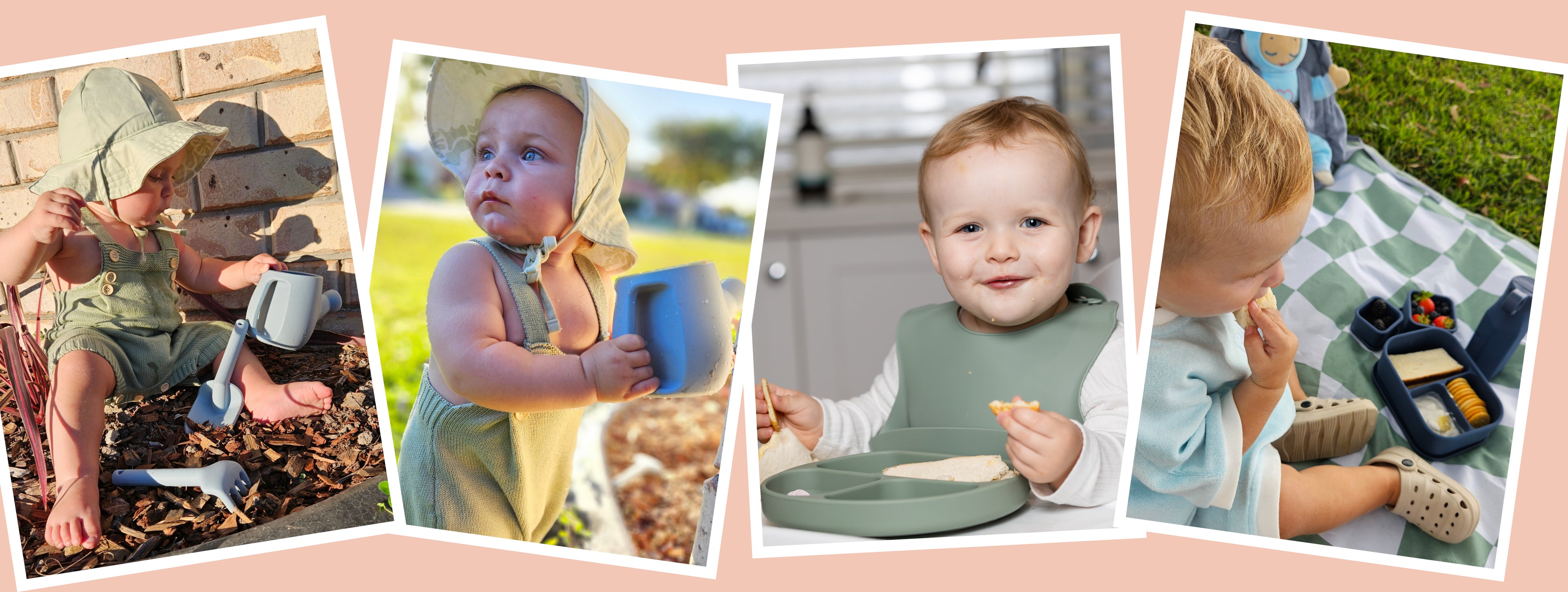 Lil Finch Web Banner