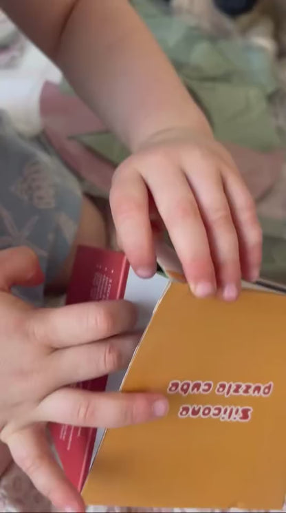 Animal Adventure Shape Sorter