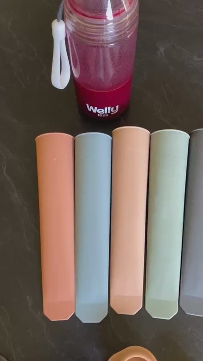 Popsicle Moulds | 5 Pack