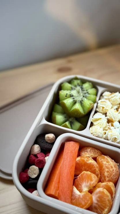 Bento Boxes